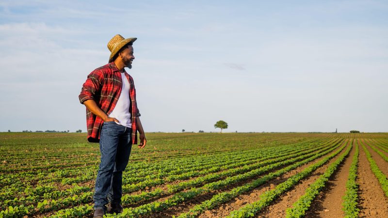 One potential move for Gulf governments could be to invest in US farms, which will be facing greater financial difficulties as costs rise amid the broader trade war